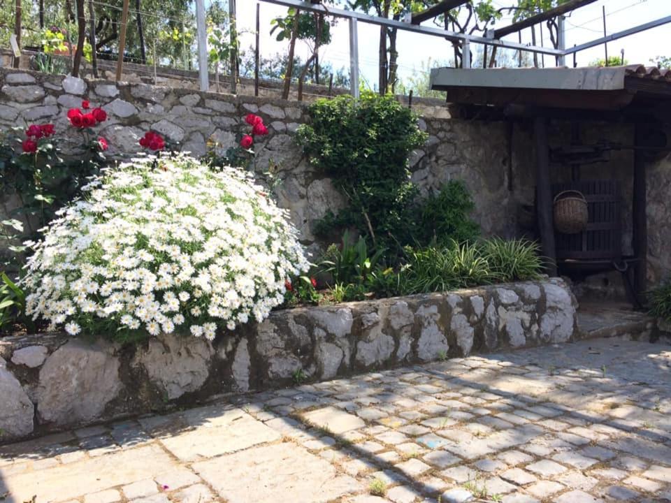 La Torretta Bianca Bed & Breakfast Cava De' Tirreni Luaran gambar